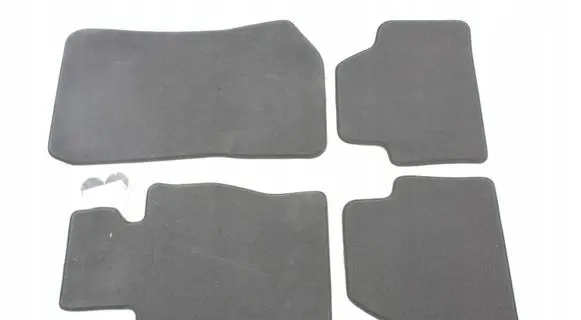 BMW X1 E84 Car floor mat set 
