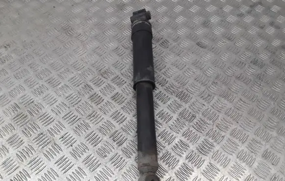 Renault Laguna III Rear shock absorber/damper 562100033R