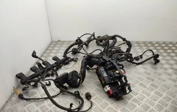 Audi Q5 SQ5 Engine installation wiring loom 06H971824B 8K1971871
