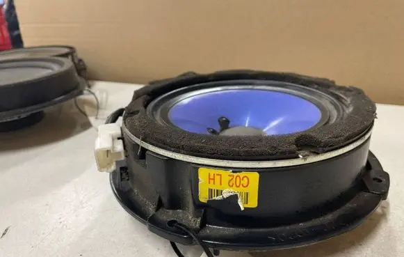 Hyundai Santa Fe Front door speaker 963002B010