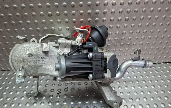 Citroen C4 II Picasso EGR valve S27624209 702209080