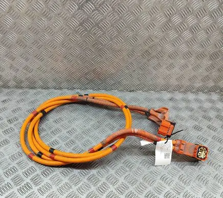 Tesla Model 3 Other wiring loom 110900300E