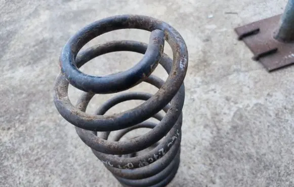 Rear coil spring