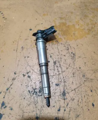 Renault Koleos I Fuel injector 0445115007