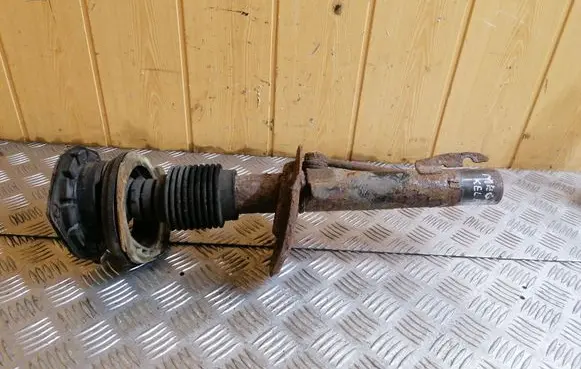 Renault Megane II Front shock absorber/damper
