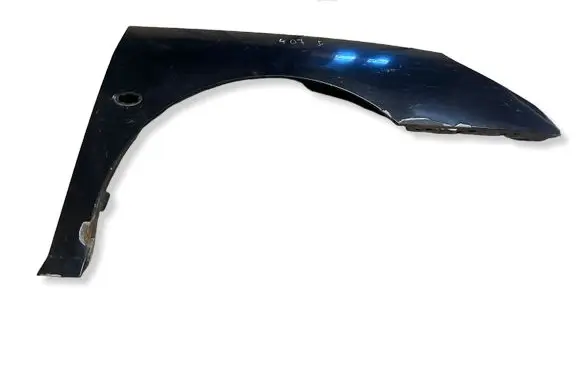 Peugeot 407 Fender 
