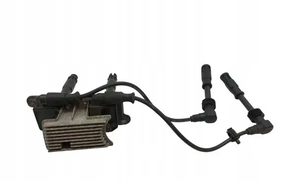 Volkswagen PASSAT B5 High voltage ignition coil 0221603003