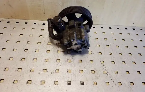 Hyundai Santa Fe Power steering pump