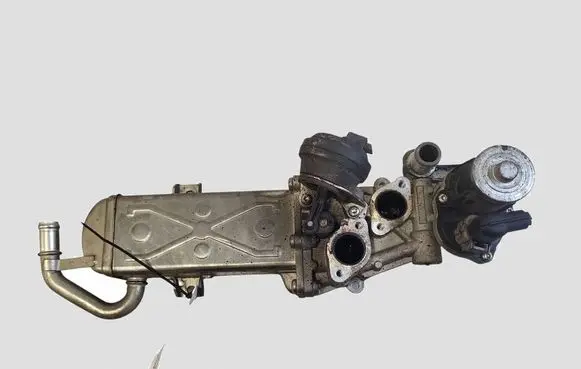 Volkswagen Golf VI EGR valve cooler NRF2002282
