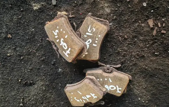 Skoda Fabia Mk3 (NJ) Brake pads (rear) 