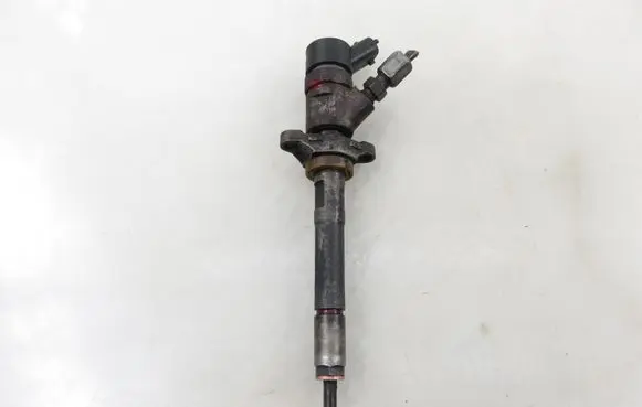 Citroen C4 I Fuel injector 0445110239