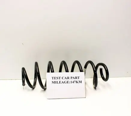 Rear coil spring