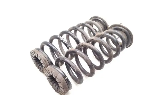 BYD Atto 3 Rear coil spring 