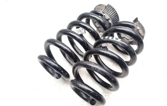 Audi Q4 e-tron Rear coil spring 1EA511103FF