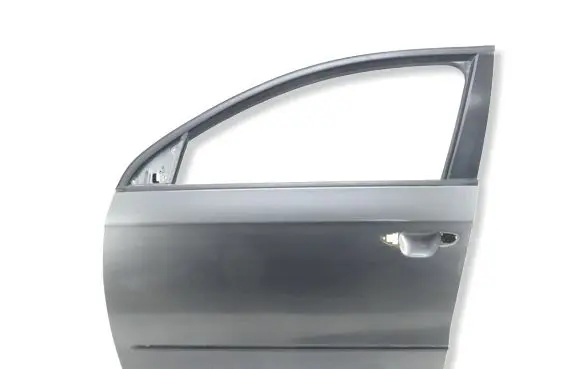 Volkswagen PASSAT B6 Front door 