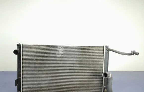 Lexus NX Coolant radiator 422135-3980
