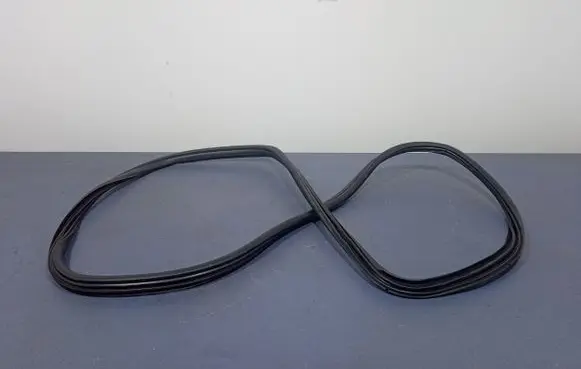 BMW X6 E71 Front door rubber seal 