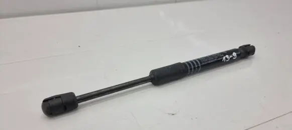 BMW X7 G07 Front bonnet/hood damper/strut 7347403