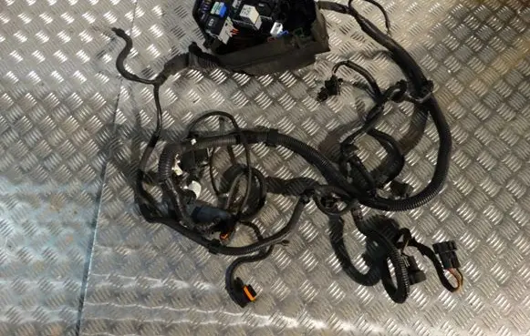 Porsche Cayenne (9Y0 9Y3) Wiring harness 