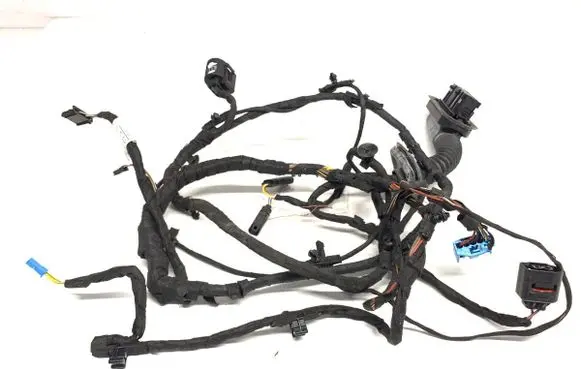 BMW 6 F06 Gran coupe Rear door wiring loom 9255415