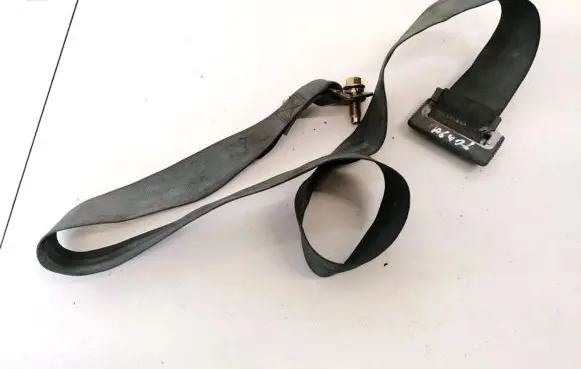 Hyundai Santa Fe Middle seatbelt buckle (rear) E11045263