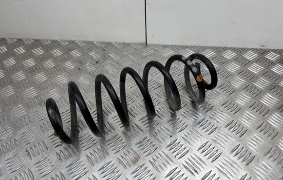 Rear coil spring