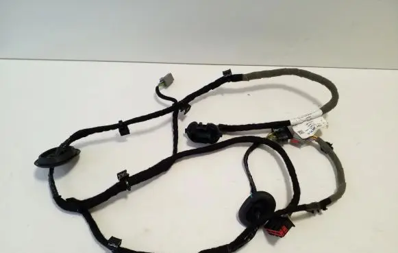 Rear door wiring loom
