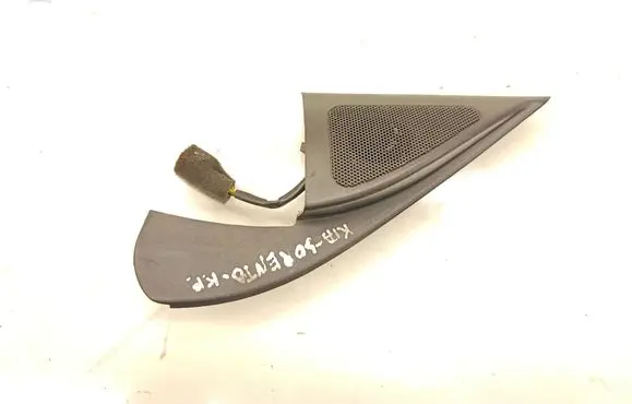 Front door high frequency speaker