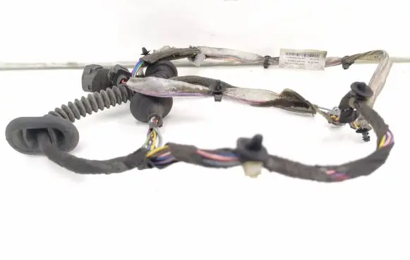 Volvo S60 Rear door wiring loom D8697919002 9494931