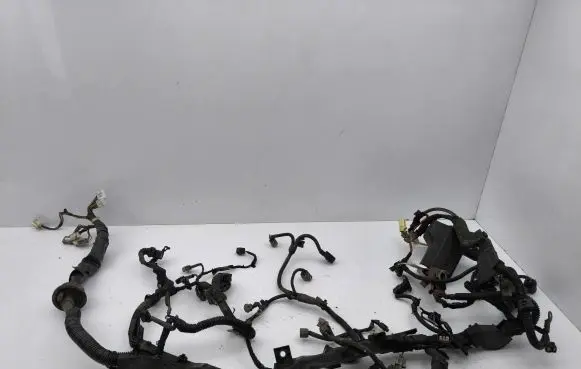 Engine installation wiring loom