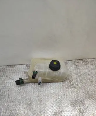 Renault Megane III Coolant expansion tank/reservoir cap 21700005R