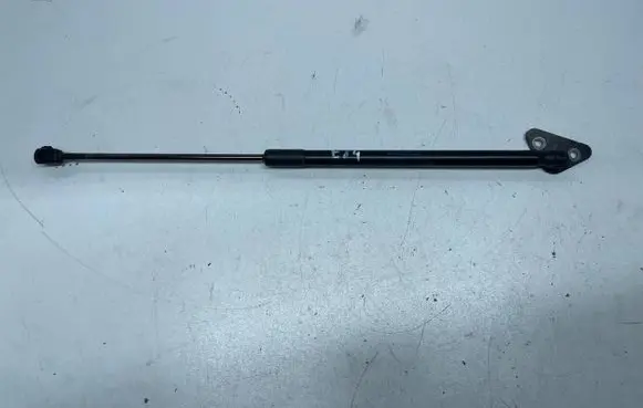 BMW X1 E84 Tailgate/trunk strut/damper 2990136