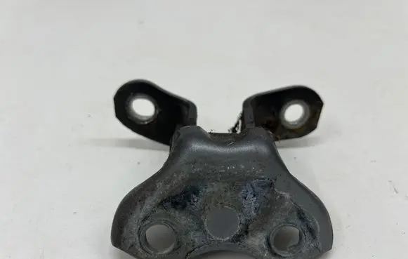 Toyota C-HR I Front door lower hinge 