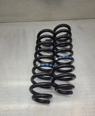Rear coil spring