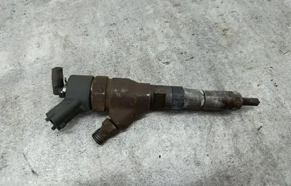 Peugeot Boxer Fuel injector 9641742880