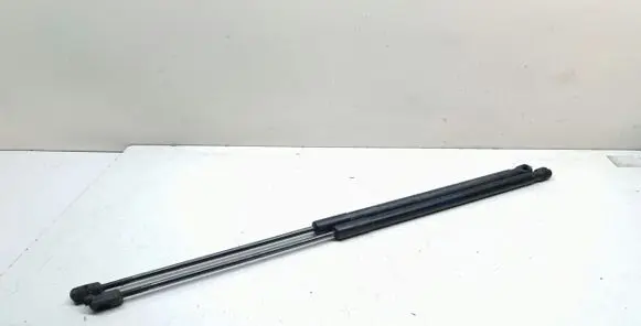 BMW X1 E84 Tailgate/trunk strut/damper 2990136 51242990136