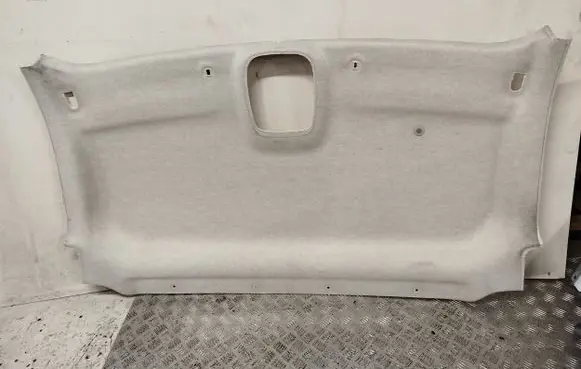 Nissan NV300 Headlining 93868983 739012577R 283123423R