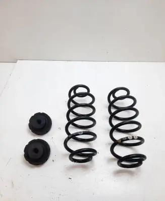 Rear coil spring