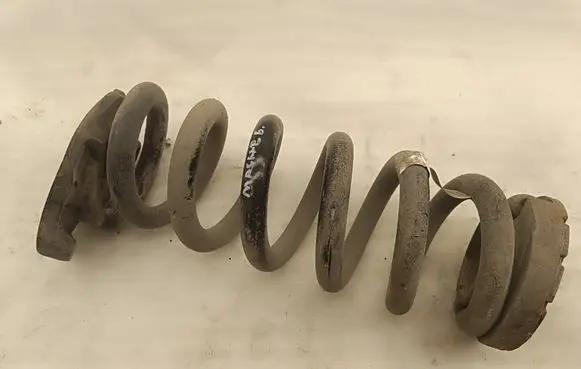 Ford Mach-E I Rear coil spring LK9C5560ENB L11822021 CX727