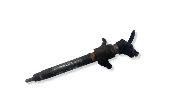Land Rover Range Rover Sport L320 Fuel injector 