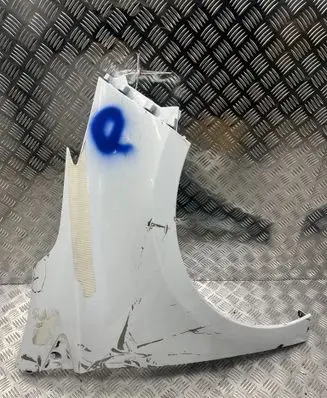 Renault Zoe Fender
