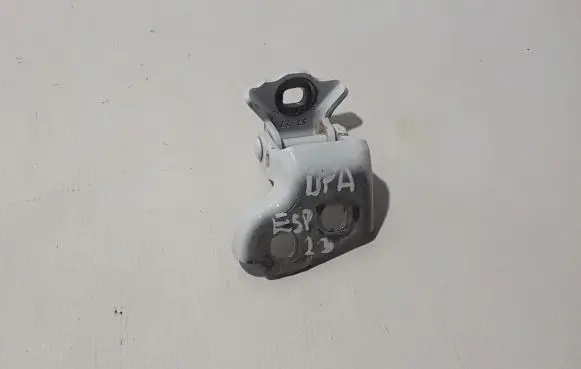 Renault Espace VI Front door lower hinge 804002888R