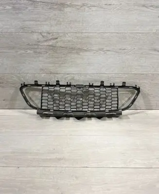 Front bumper lower grill