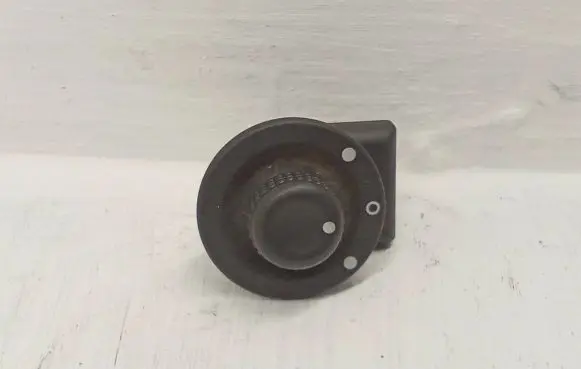 Renault Kangoo II Wing mirror switch 255704649R
