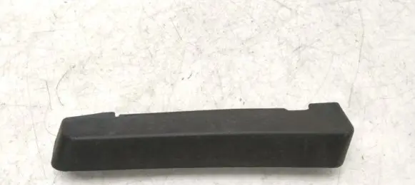 Rear/tail light trim molding