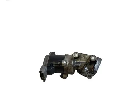 Peugeot 607 EGR valve S1160021