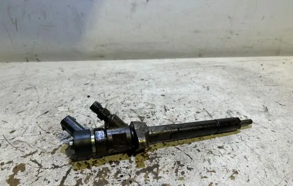 Peugeot Expert Fuel injector 0445110239