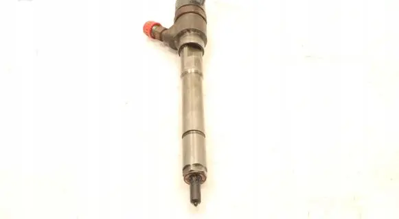 Chevrolet Captiva Fuel injector