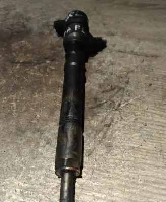 Hyundai Santa Fe Fuel injector 0445110064 3380027010