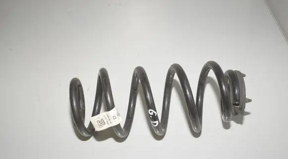 Rear coil spring